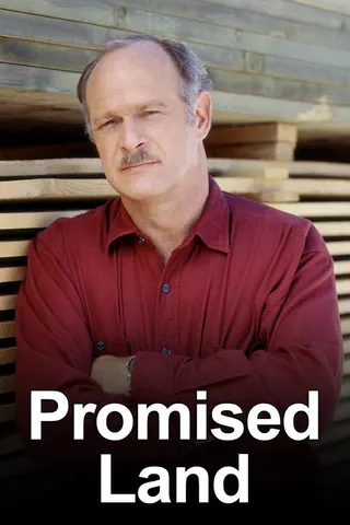 Görsel: TMDB Promised Land afişi