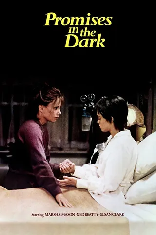 Görsel: TMDB Promises in the Dark afişi
