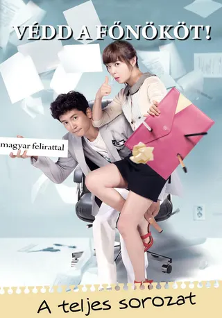 Protect the Boss afişi