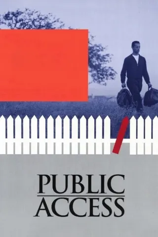Public Access afişi
