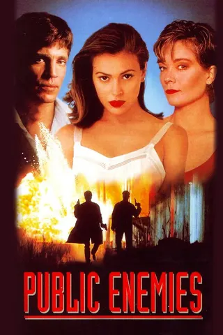 Public Enemies afişi