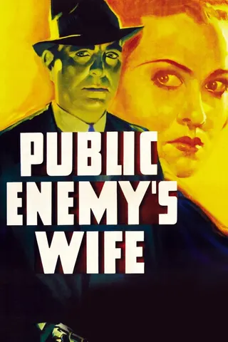 Görsel: TMDB Public Enemy's Wife afişi