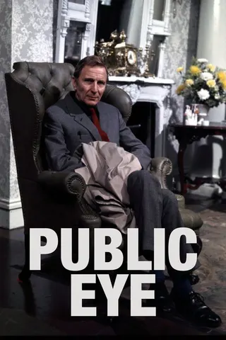 Public Eye afişi