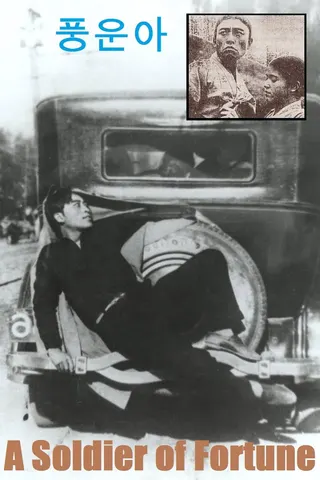 Punguna afişi
