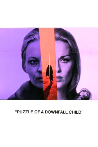 Puzzle of a Downfall Child afişi