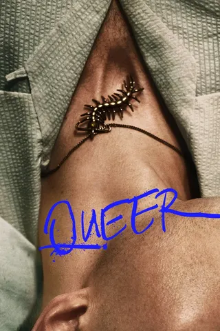 Görsel: TMDB Queer afişi