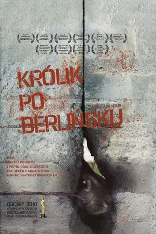 Görsel: TMDB Rabbit à la Berlin afişi