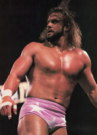 Görsel: David Fitzgerald / Kamu malı Randy Savage