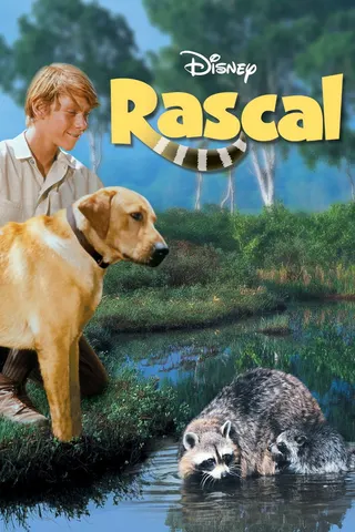 Görsel: TMDB Rascal afişi