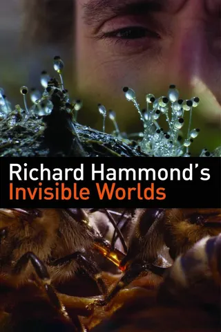 Görsel: TMDB Richard Hammond's Invisible Worlds afişi