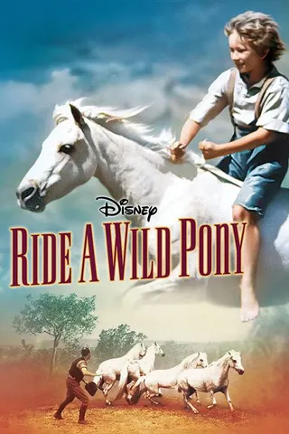 Görsel: TMDB Ride a Wild Pony afişi
