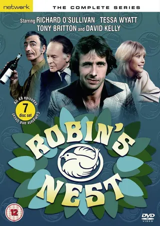 Robin's Nest afişi