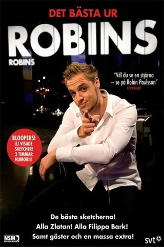 Görsel: TMDB Robins afişi