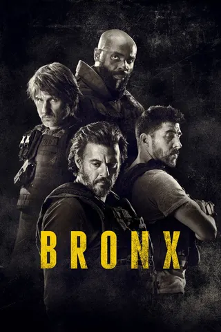 Görsel: TMDB Rogue City afişi