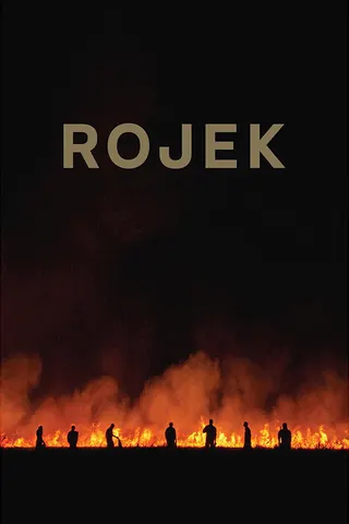 Görsel: TMDB Rojek afişi