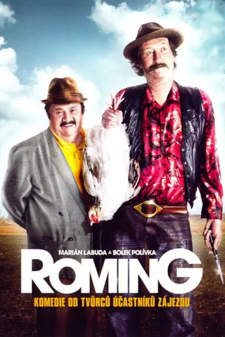 ROMing afişi
