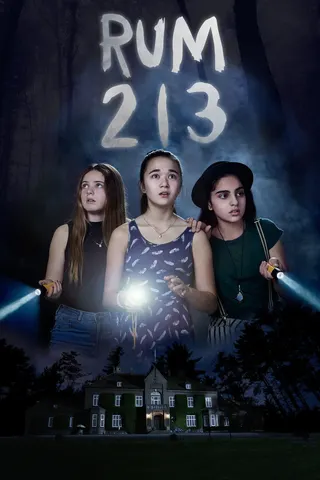 Room 213 afişi