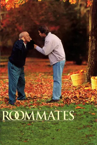 Roommates afişi