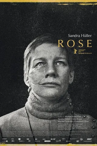 Rose afişi