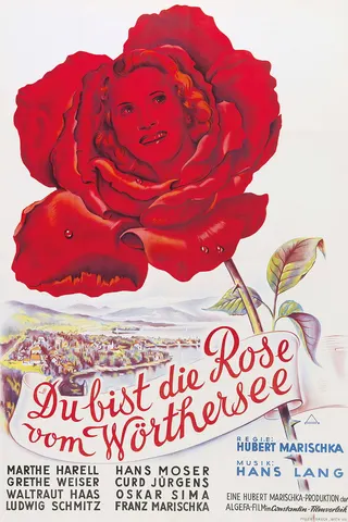 Görsel: TMDB Rose of the Mountain afişi