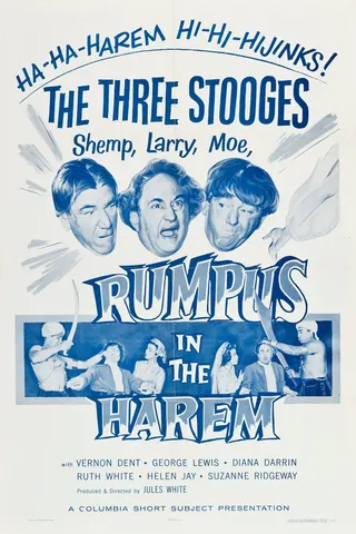 Rumpus in the Harem afişi