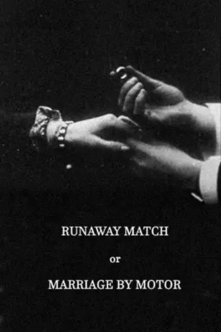 Görsel: TMDB Runaway Match afişi