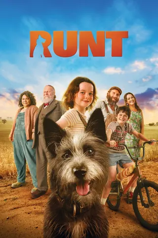 Görsel: TMDB Runt afişi