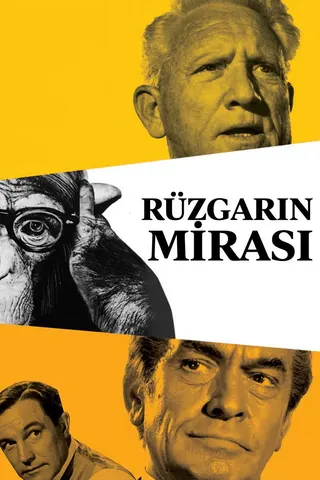 Görsel: TMDB Rüzgarın Mirası afişi