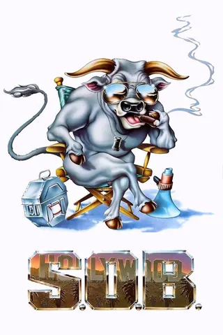 Görsel: TMDB S.O.B. afişi