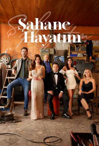 Görsel: TMDB Şahane Hayatım afişi