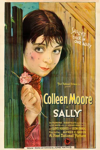 Görsel: TMDB Sally afişi