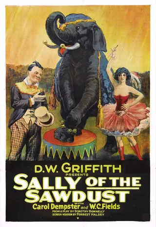 Sally of the Sawdust afişi