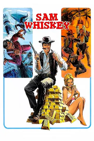 Görsel: TMDB Sam Whiskey afişi