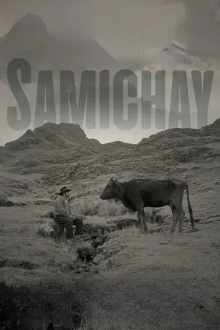 Görsel: TMDB Samichay, In Search of Happiness afişi
