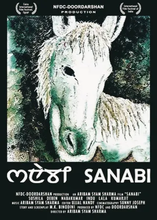Görsel: TMDB Sanabi afişi