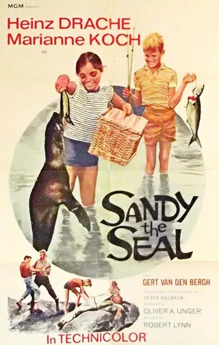 Görsel: TMDB Sandy the Seal afişi