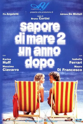 Sapore di mare 2 - Un anno dopo afişi
