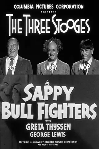 Görsel: TMDB Sappy Bull Fighters afişi