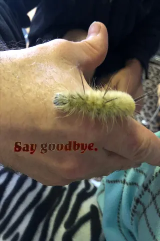 Say Goodbye afişi
