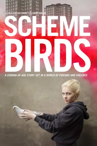 Scheme Birds afişi