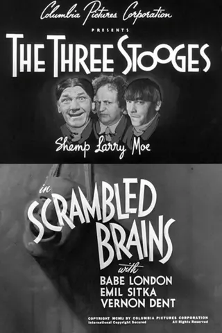 Görsel: TMDB Scrambled Brains afişi