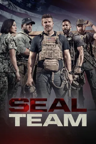 SEAL Team afişi