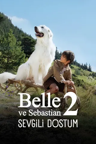 Görsel: TMDB Sebastian: Sevgili Dostum afişi