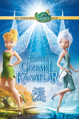 Görsel: TMDB Secret of the Wings afişi
