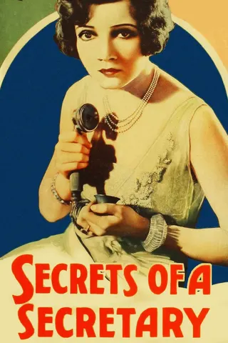 Secrets of a Secretary afişi
