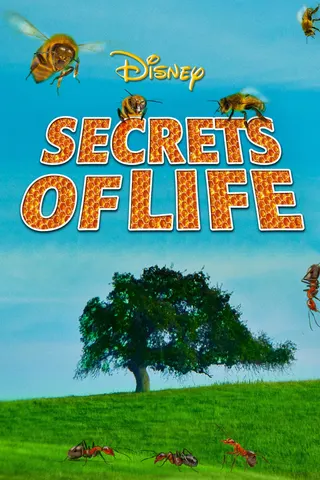Görsel: TMDB Secrets of Life afişi