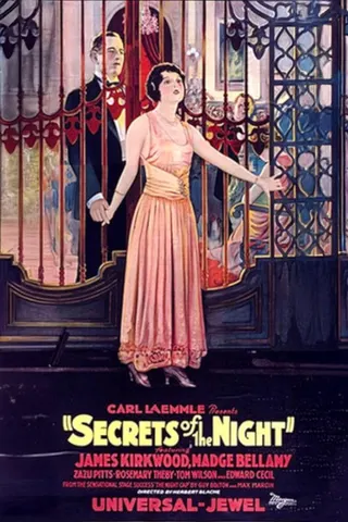 Secrets of the Night afişi