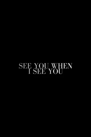 Görsel: TMDB See You When I See You afişi