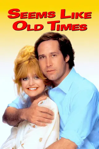 Görsel: TMDB Seems Like Old Times afişi