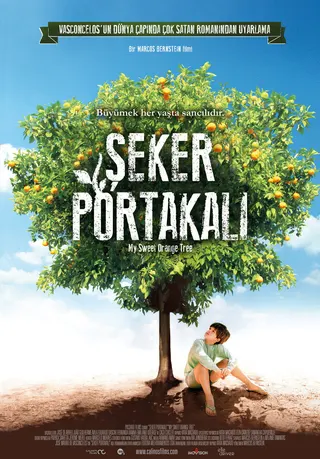 Görsel: TMDB Şeker Portakalı afişi